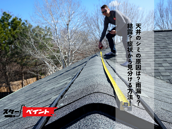 天井のシミの原因は？雨漏り？結露？症状から見分ける方法！の画像