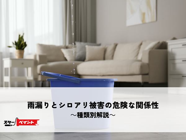 雨漏りとシロアリ被害の危険な関係性～種類別解説～の画像