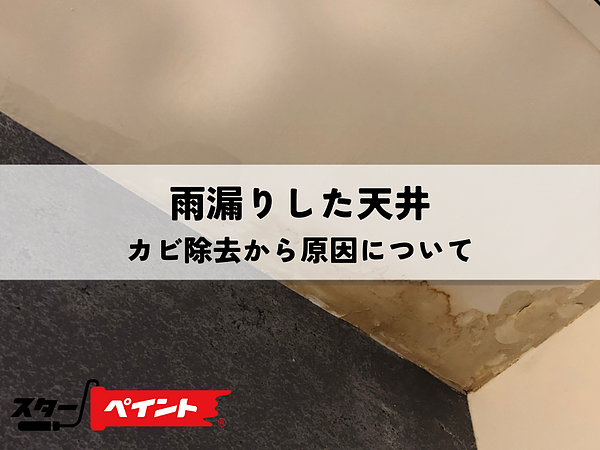雨漏りした天井のカビ除去から原因について解説の画像