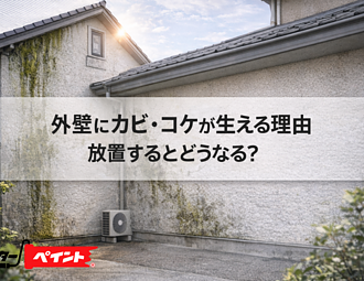 外壁にカビ・コケが生える理由｜放置するとどうなる？のイメージ