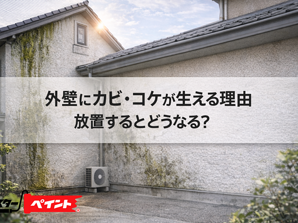 外壁にカビ・コケが生える理由｜放置するとどうなる？の画像