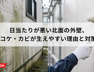 日当たりが悪い北面の外壁、コケ・カビが生えやすい理由と対策のイメージ
