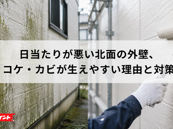 日当たりが悪い北面の外壁、コケ・カビが生えやすい理由と対策の画像